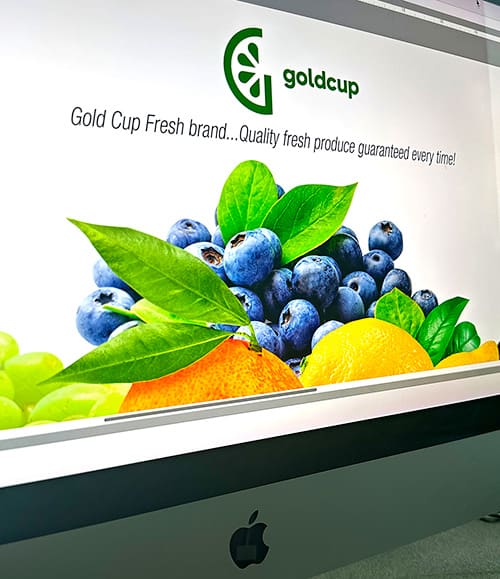 Picture of the home page of Goldcup showing an arrangement of tropical fruit.