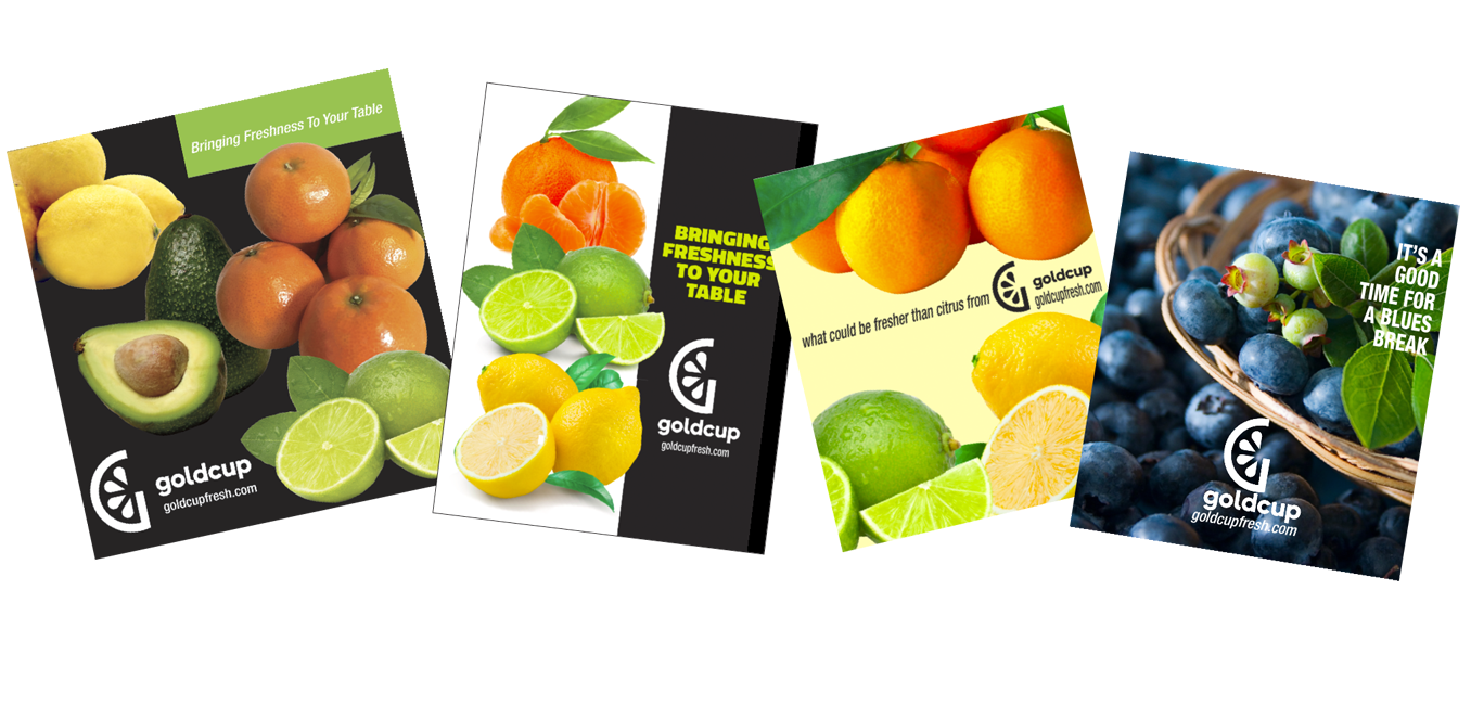 Samples of four digital ads