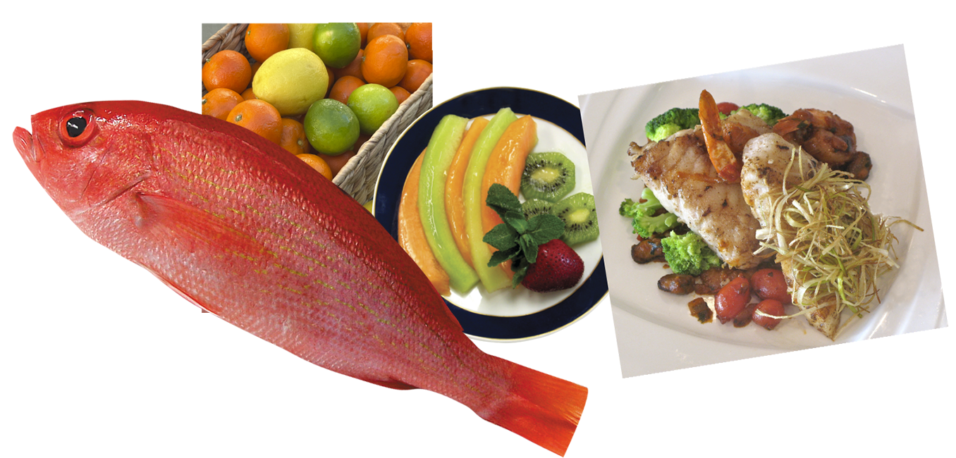 Sample of food photos